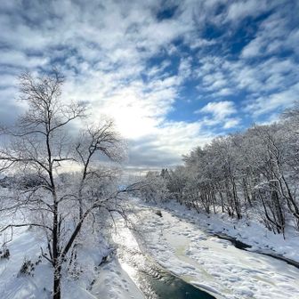 🅿️は広く除雪されていますが、雪が積もった階段が滑り台みたいになって歩きにくい。
帰りは階段横の斜面を、スノーシュー滑らせながら降りました✌️