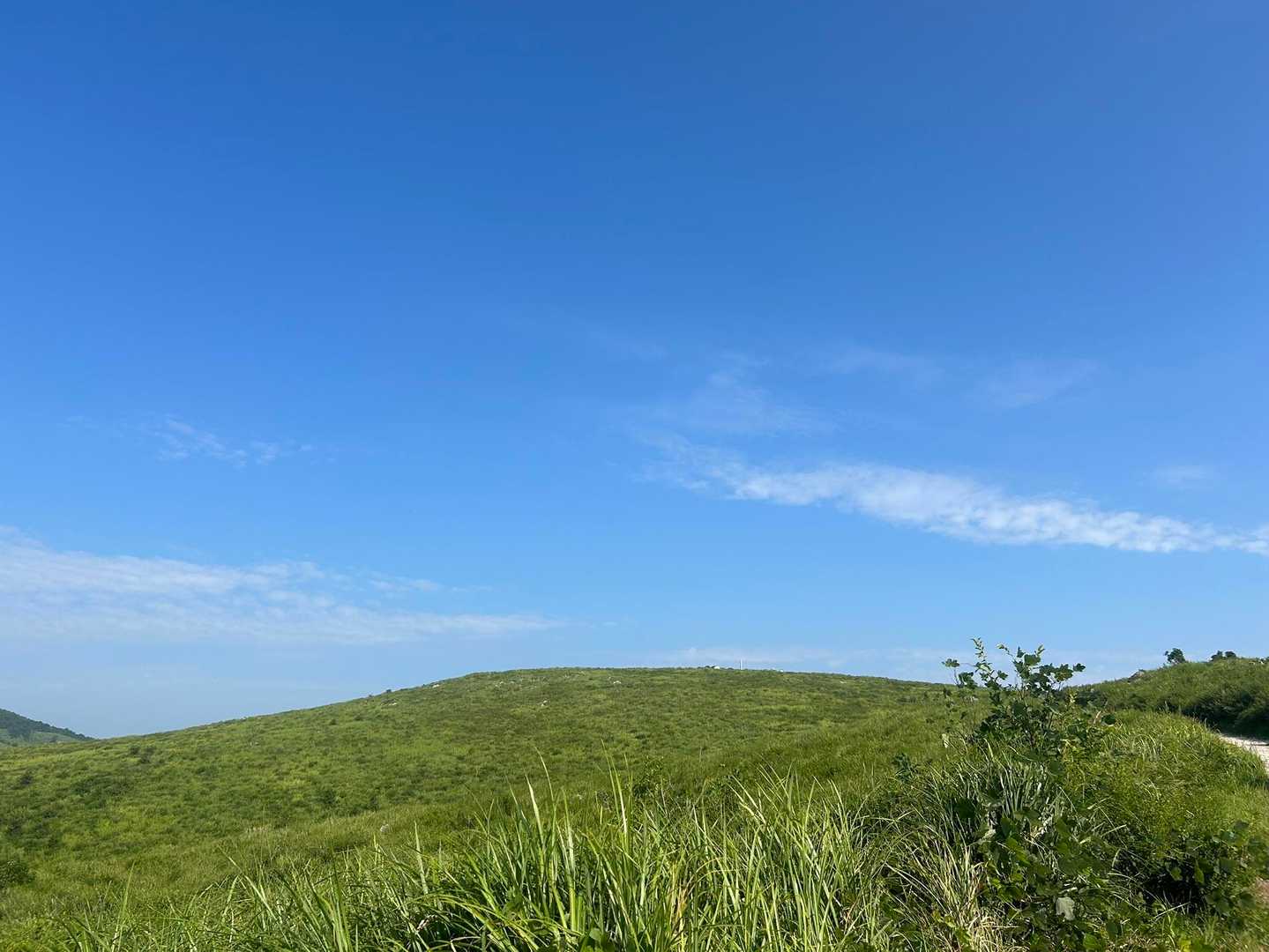 今日は、あそこまで