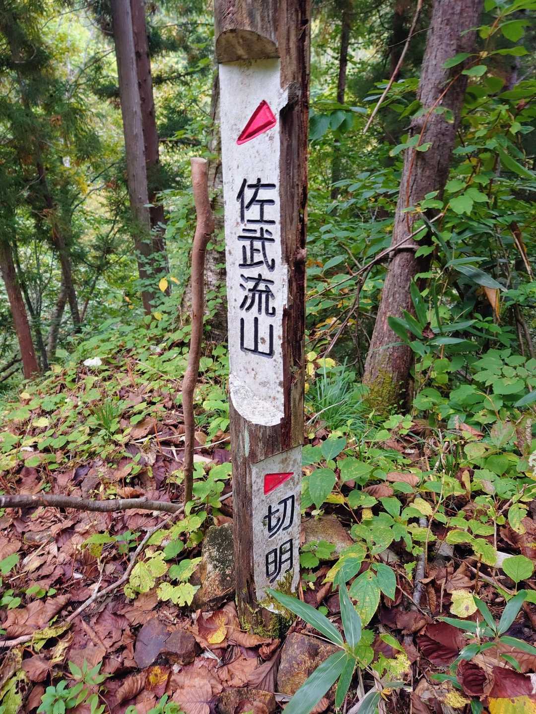 ここまでくれば一安心😊
後は、林道を歩きます🚶
