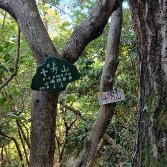 十方山山頂