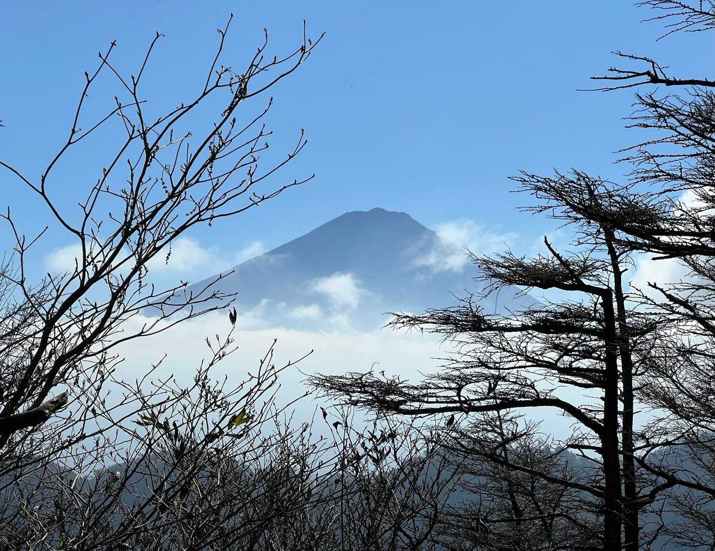 大石峠-大石峰山-金堀山-節刀ヶ岳 往復コースの写真