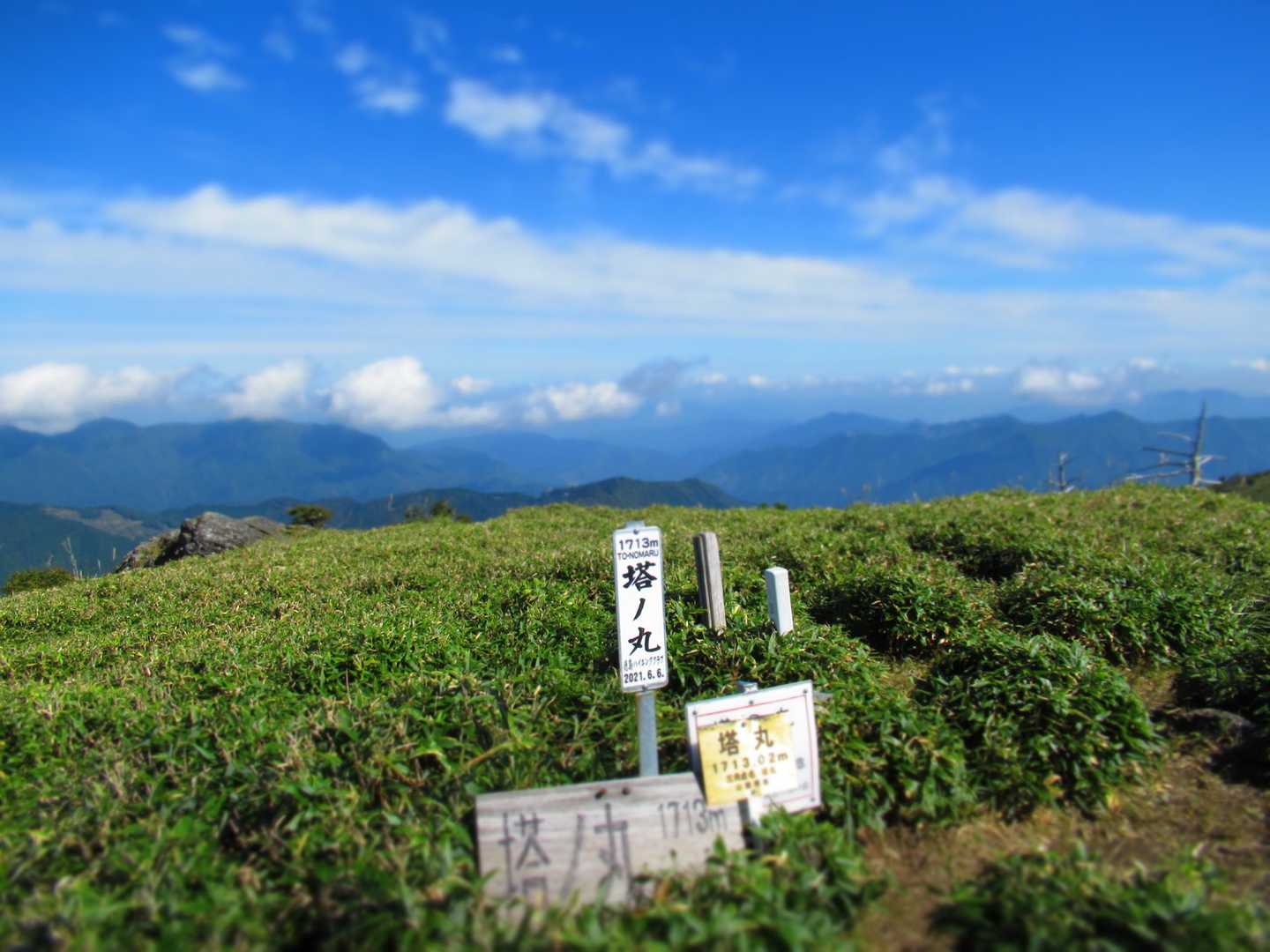 塔丸 往復コースの写真