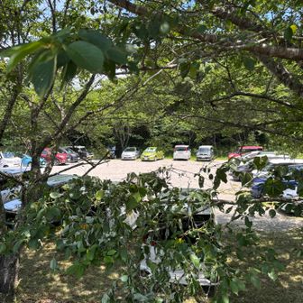 駐車場いっぱいでした🈵🅿️
どうにか駐車出来ました😅