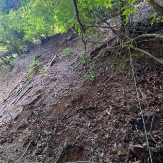 ロープの方へ行こうとするが、土が崩れて登れない。そもそも道が無いような…。