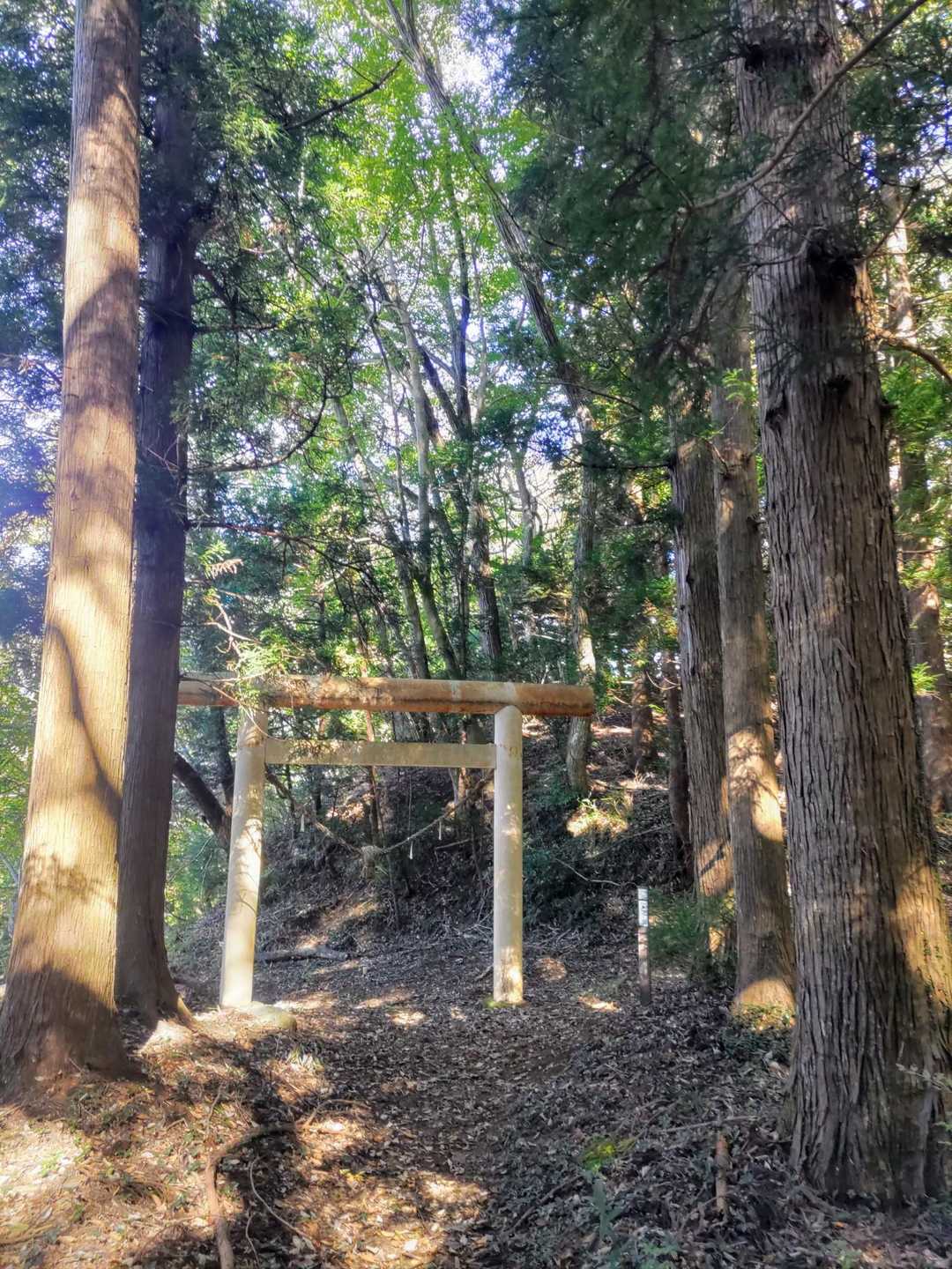 地割に向かいます