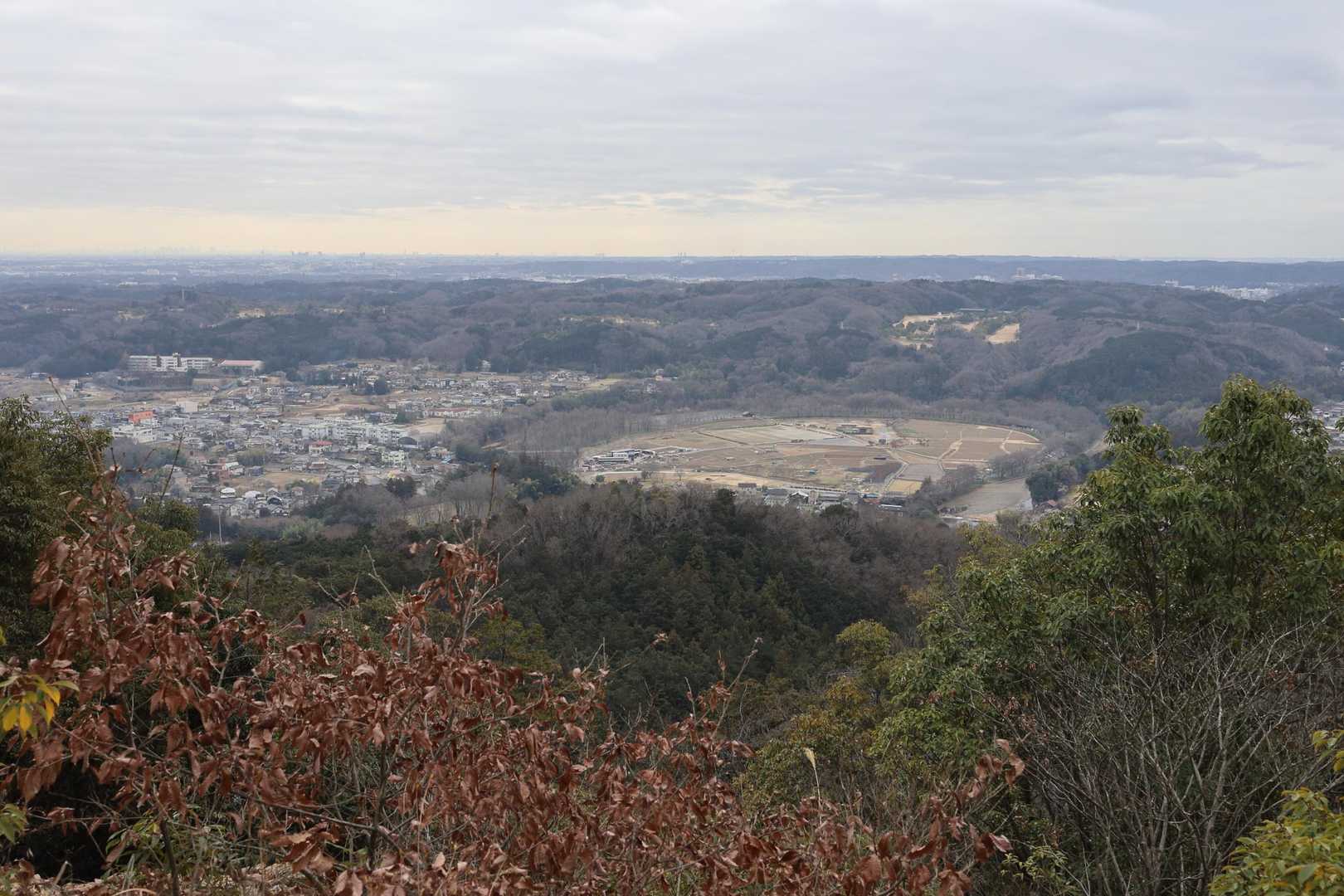 あっという間に日和田山の山頂に到着
巾着田の丸いエリアが目立ちます