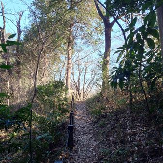 開けたところに出そうです。