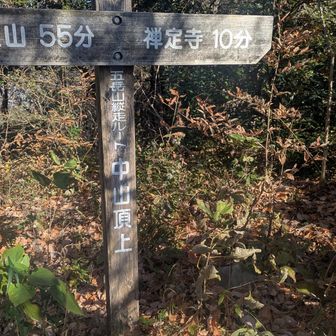 ４つ目
    中山
あとは、オマケみたいなものだよと言うけど、それなりに
まあまあ😄😚デシタ