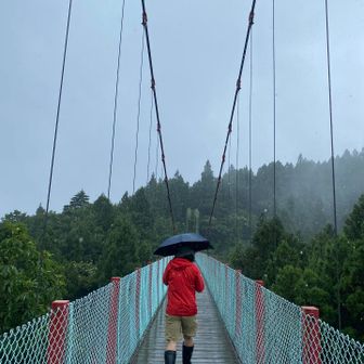 めっちゃ雨降ってます😑
