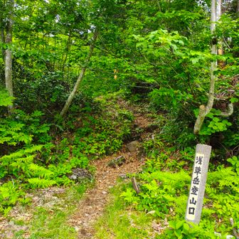 林道少し歩いて登山道入り口