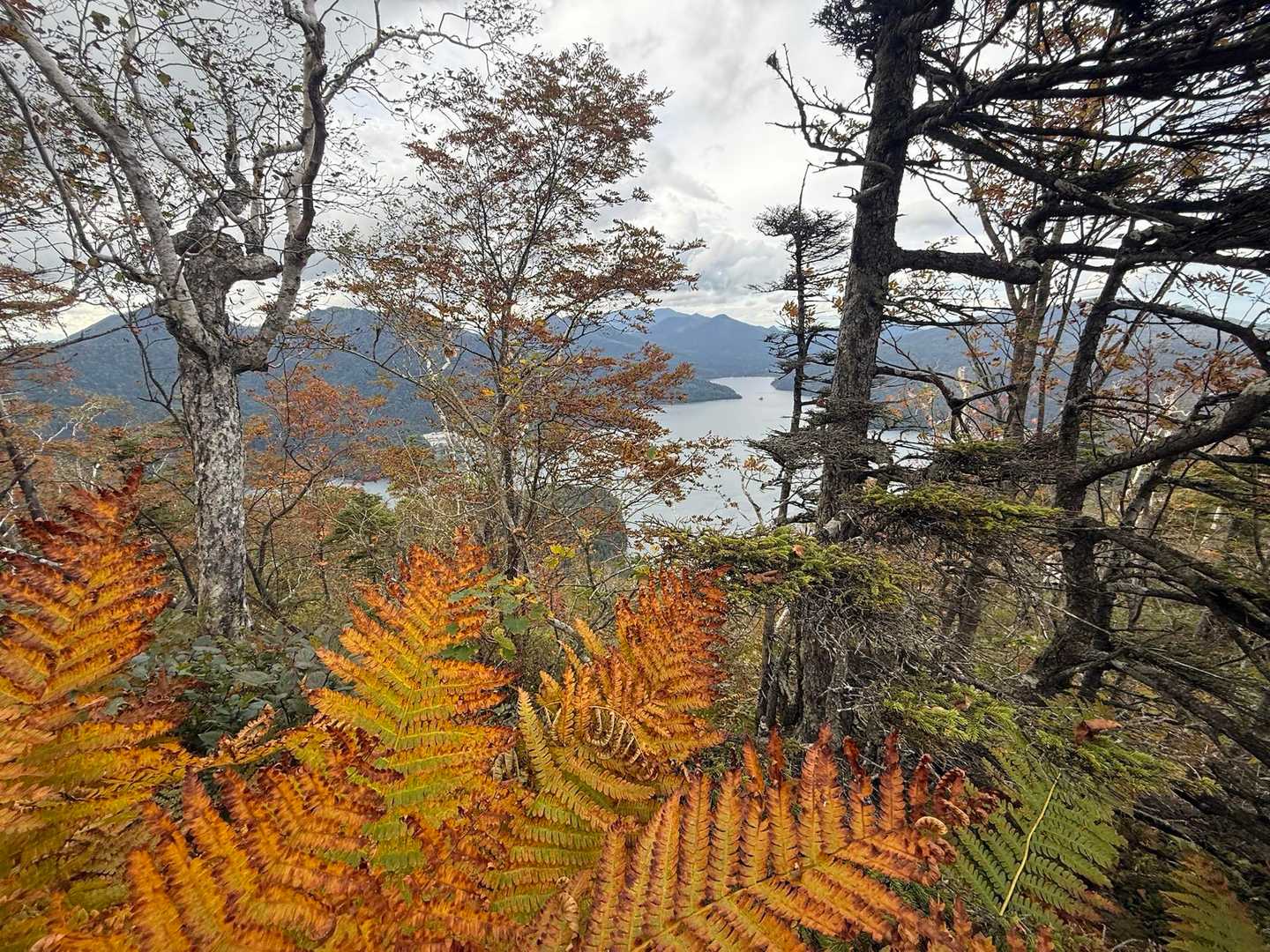 白雲山登山口-白雲山-天望山登山口 周回コースの写真