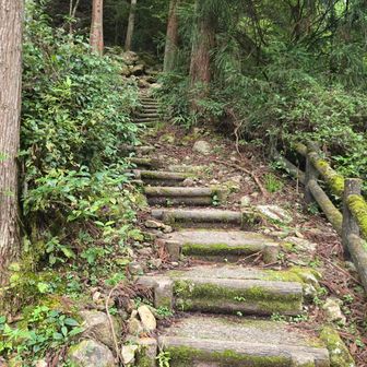 始めは階段ですが、ほんの少し登った所で土砂で埋もれてました