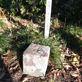 高草山西峰三角点🔺