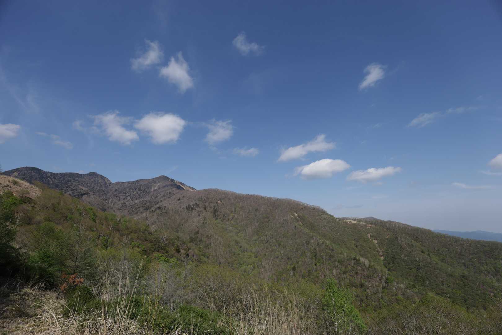 全部が袈裟丸山の山塊

大きいです