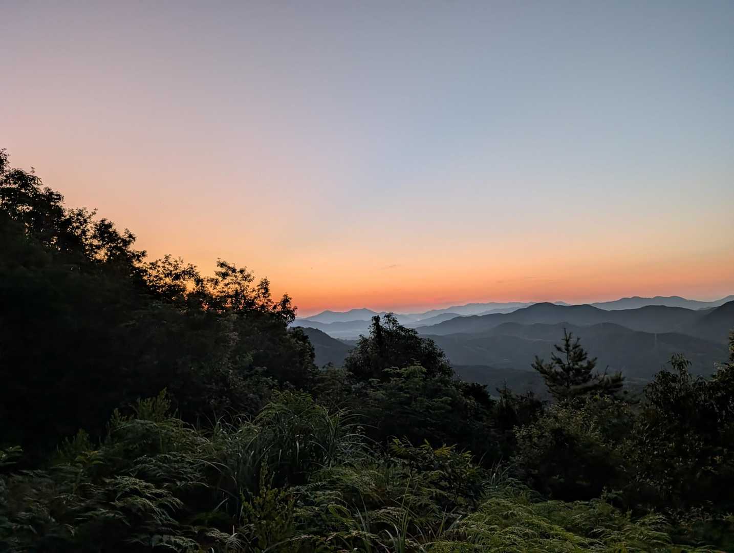 鶴羽山 往復コースの写真