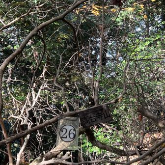 高台寺山🔺200ｍ

このルートを通ると、たぶん100ｍルールで ピークがゲットできると思いますが、
せっかくなので、わざわざ寄ってみました😆

前回は、違う道を下ったので…