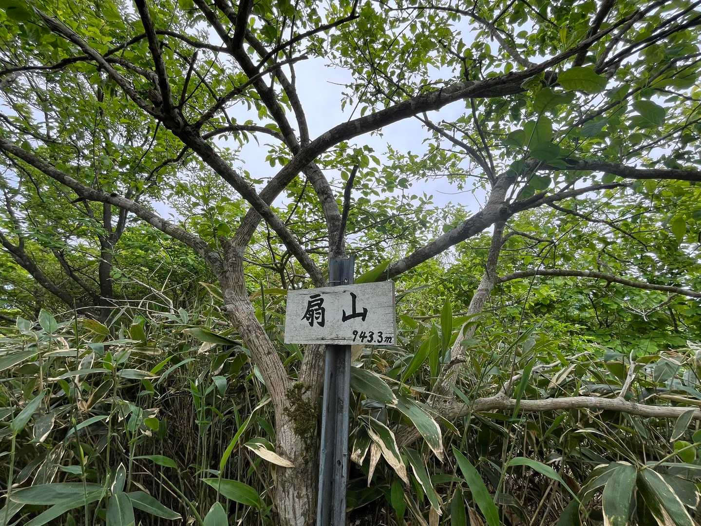３個目扇山🪧
なかなかアップダウンがあって楽しいです😆