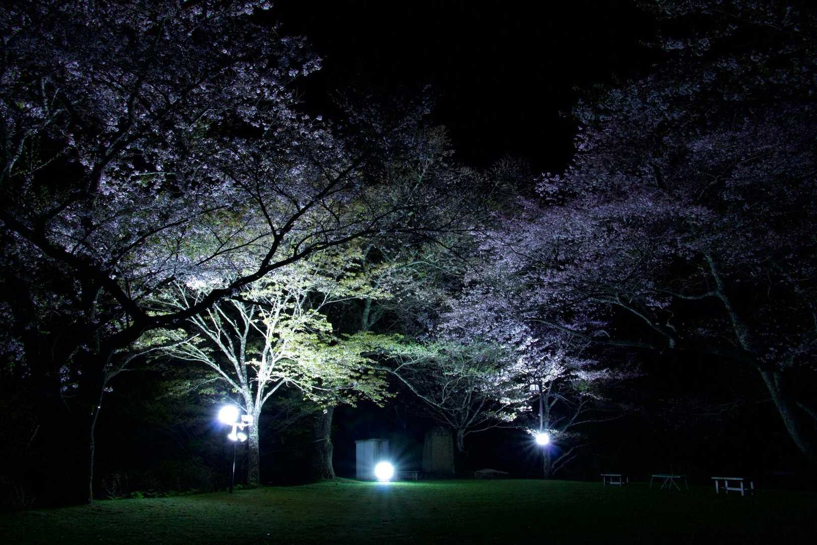 そろそろ時間が…