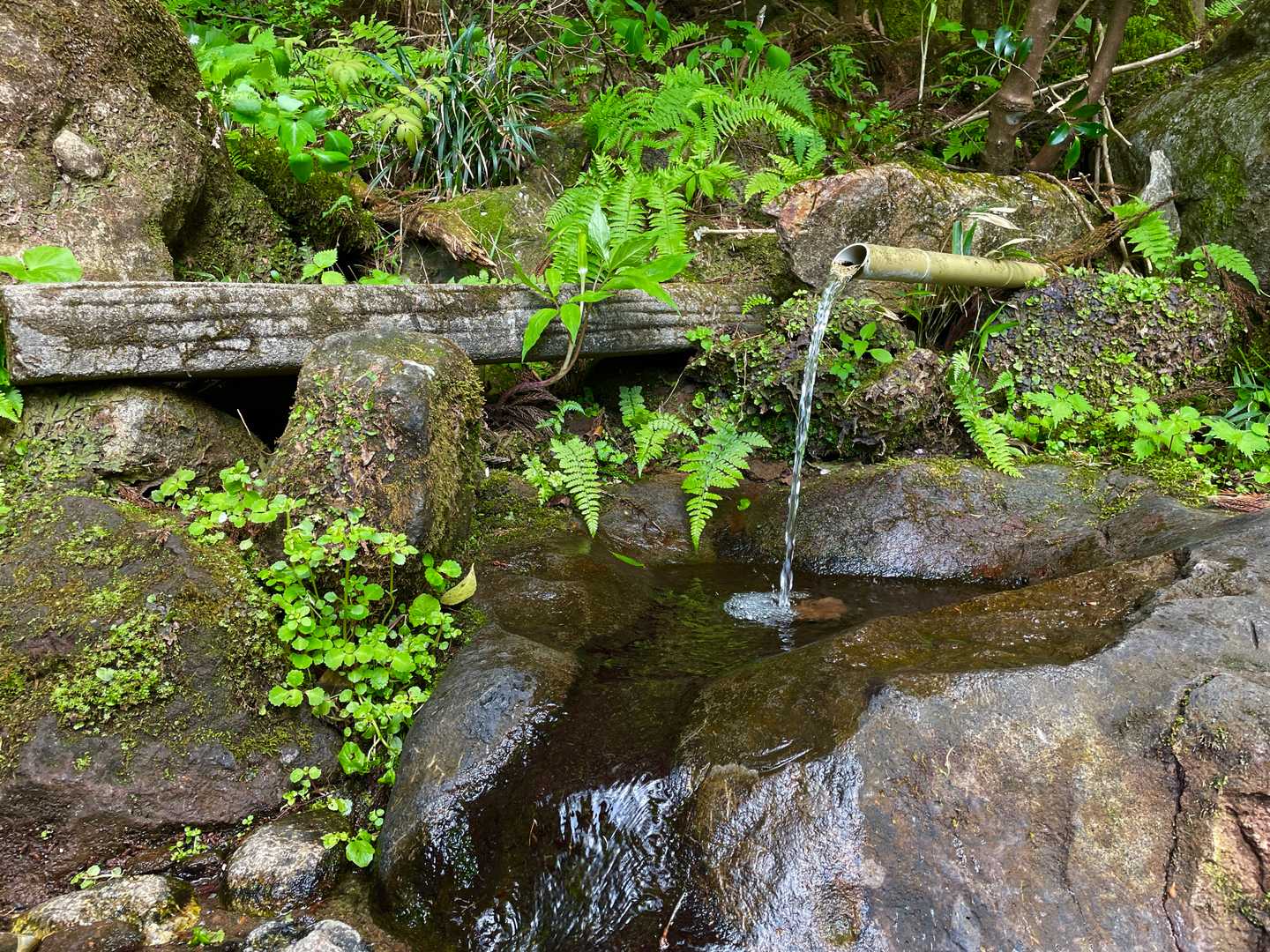 潤沢