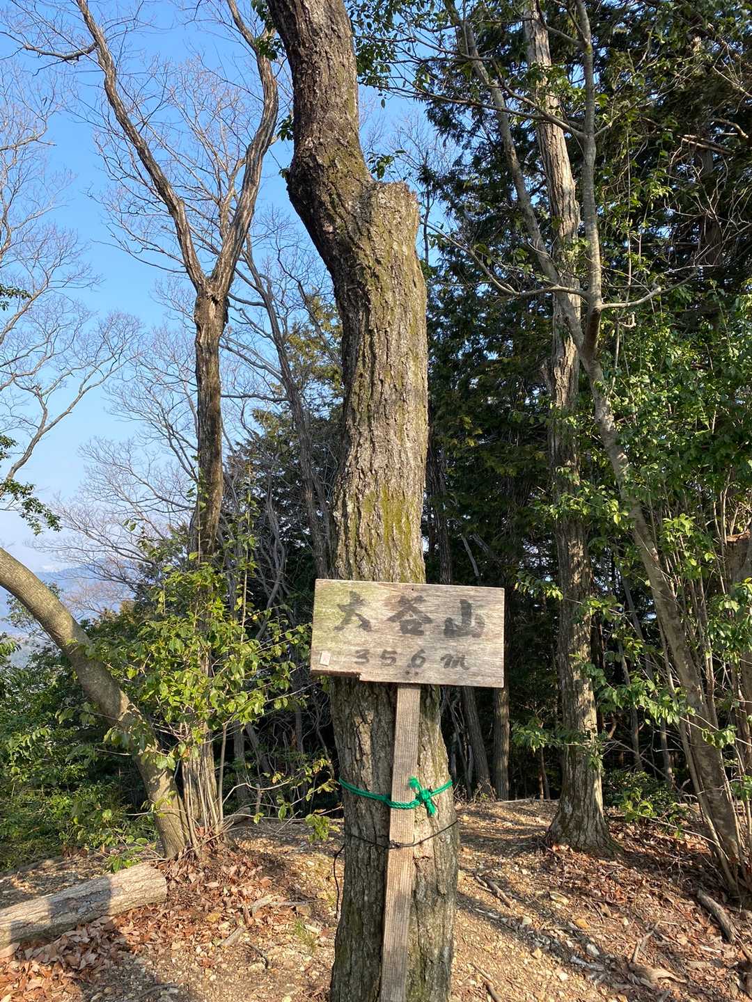 2個目の山　大谷山⛰⛰