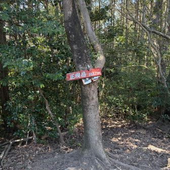 気付かず戻ってきて撮影