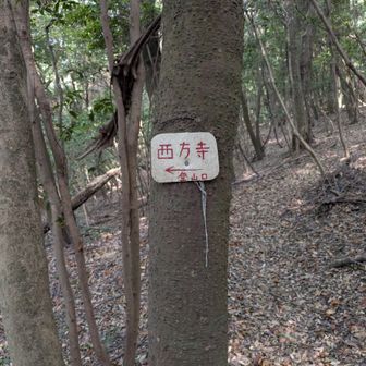 下りは反対側の西方寺へ向かいます