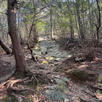 足元に岩が現れ始めました