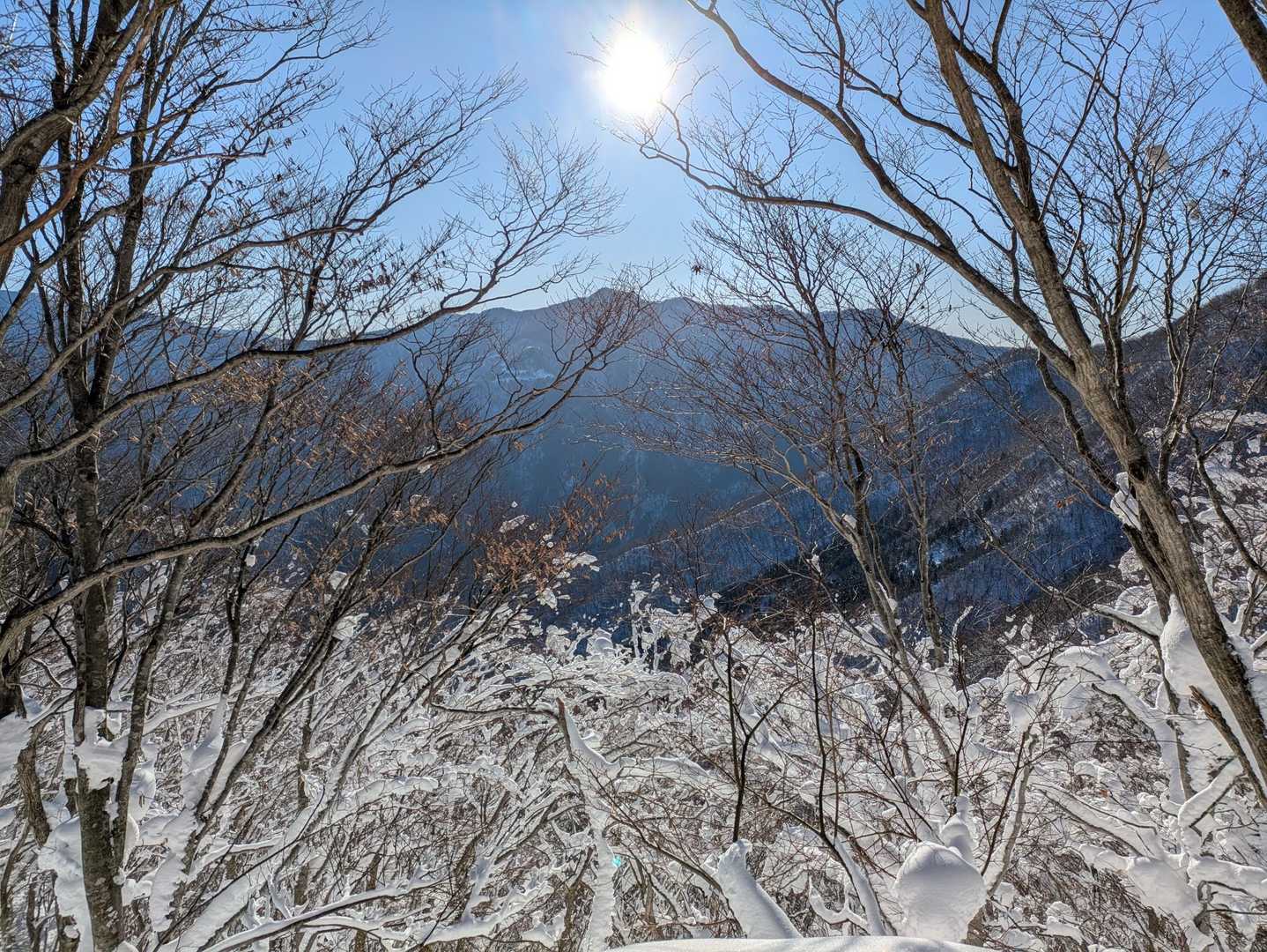 小津。