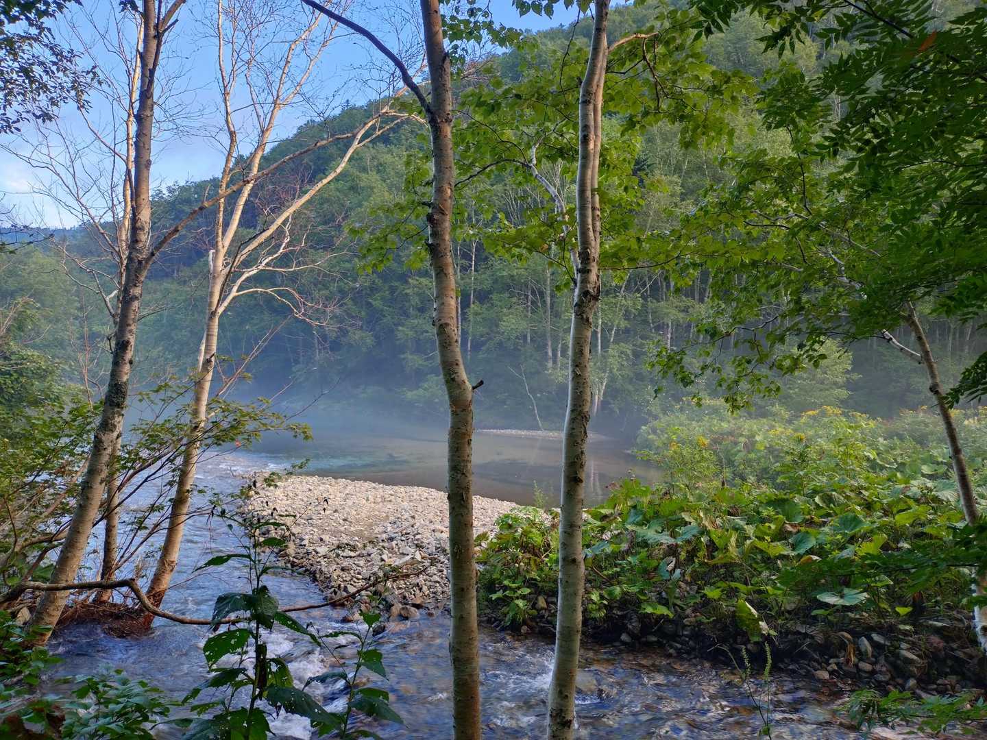朝靄かかる川

気温20℃いかず
涼しく気持ちいい