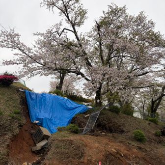 めっちゃ崩れとったけど😇