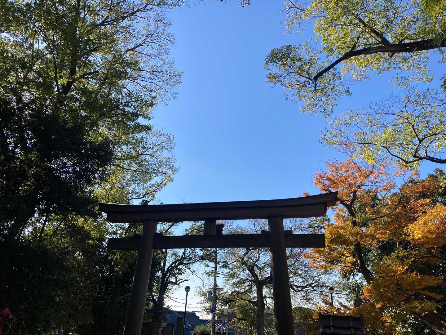 今日もありがとうございました😊

前回よりもまたさらに
歩ける膝が嬉しい☺️