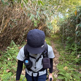 ネガマリダケが背丈以上