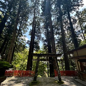 ここはまた訪れたいと
思わせる風と光が集まり降り注ぐ
⛩️🙏