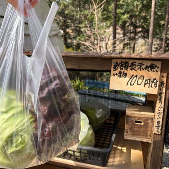 春キャベツとサニーレタス買っちゃった
これから歩くのに😆