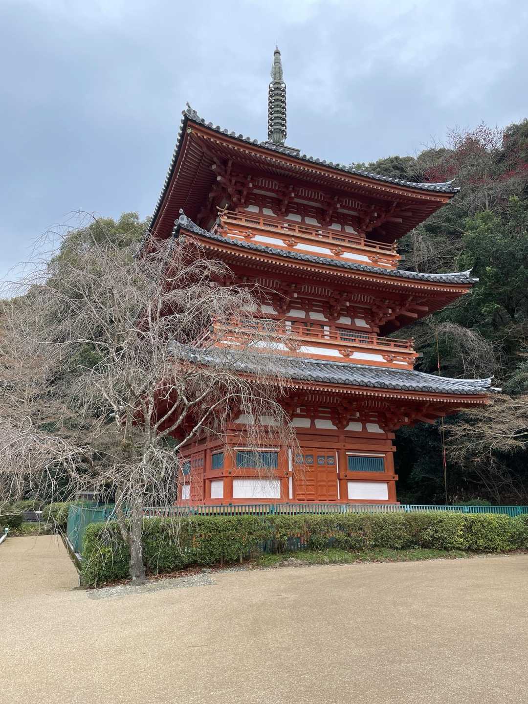 九州オルレ みやま・清水山コースの写真