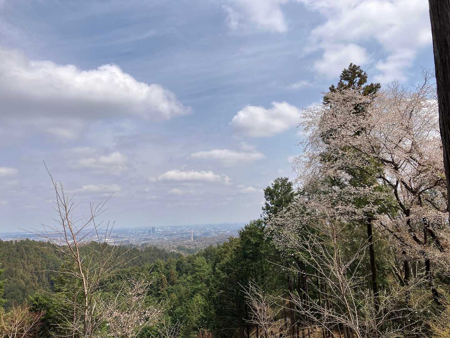 草戸山山頂からの眺め