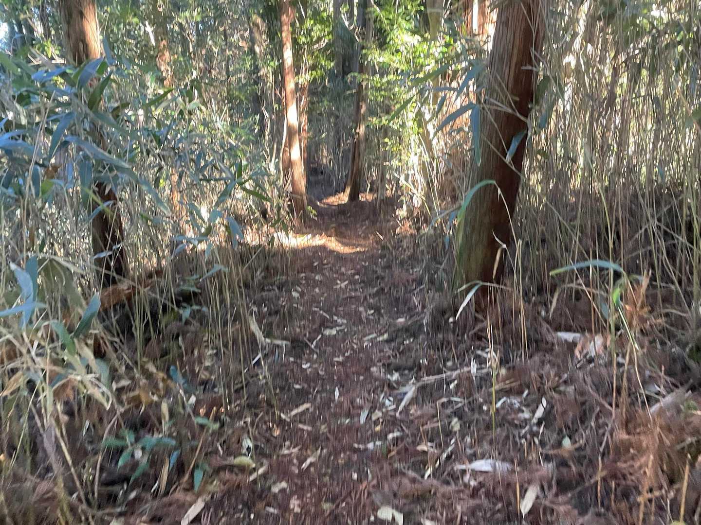 裏側に道ができていたので通ってみました。
ま、敢えて通らなくてもいいかな。