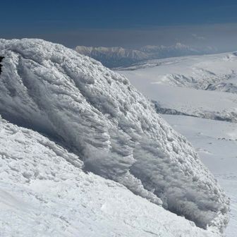 なんか寝てた🦭