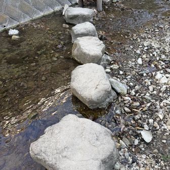 飛び石だ〜と写真を撮ったら、このあと飽きるほどこんな道が出てきました🤭