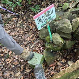 鬼ヶ城山三角点🔺撮り忘れてて、帰りにゲット