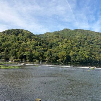 そして橋から眺めてたこちらが嵐山。
