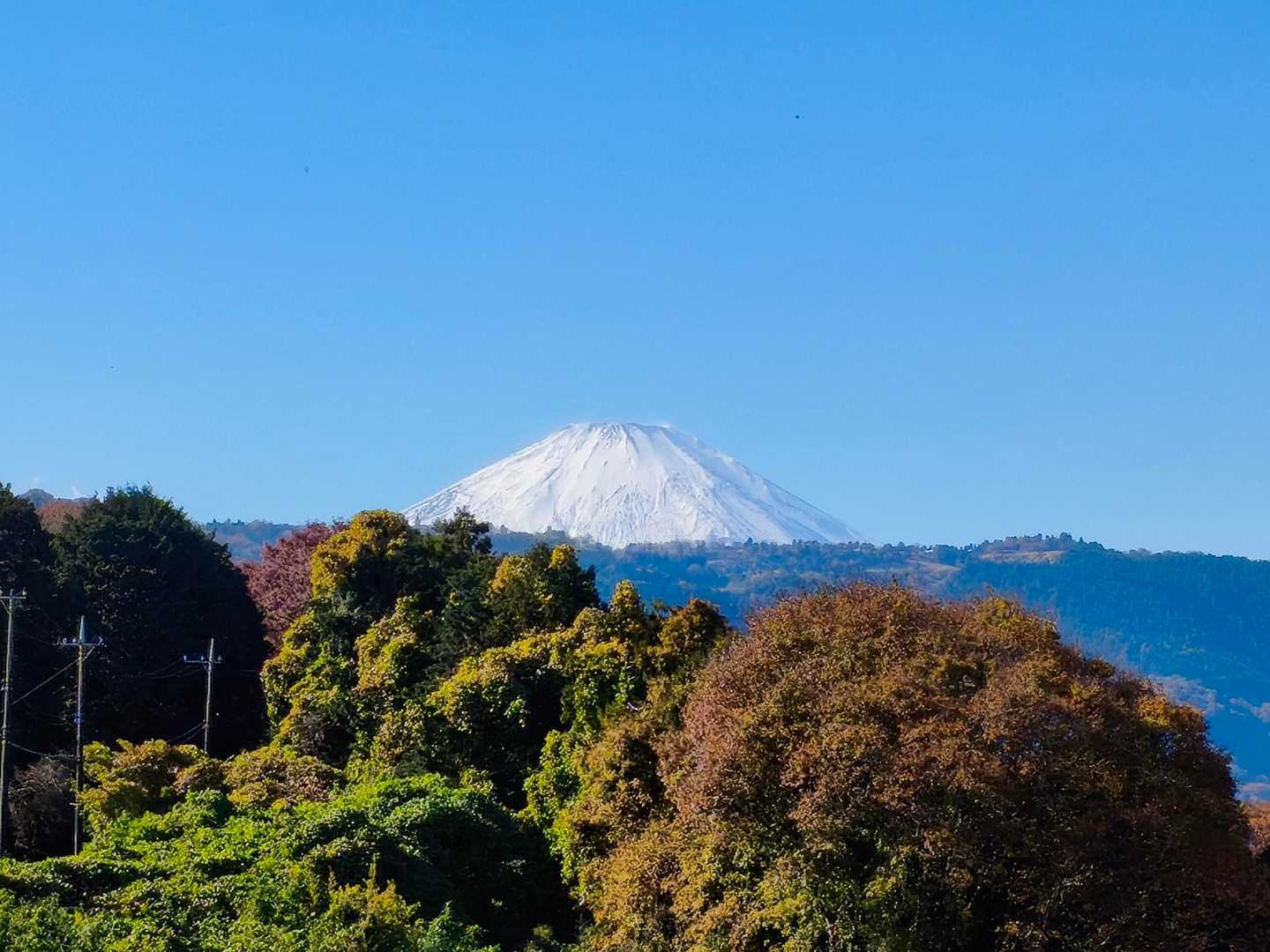 富士山が見えたのはこちらと八国見山だけ