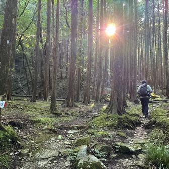 朝日が上がって来ました
