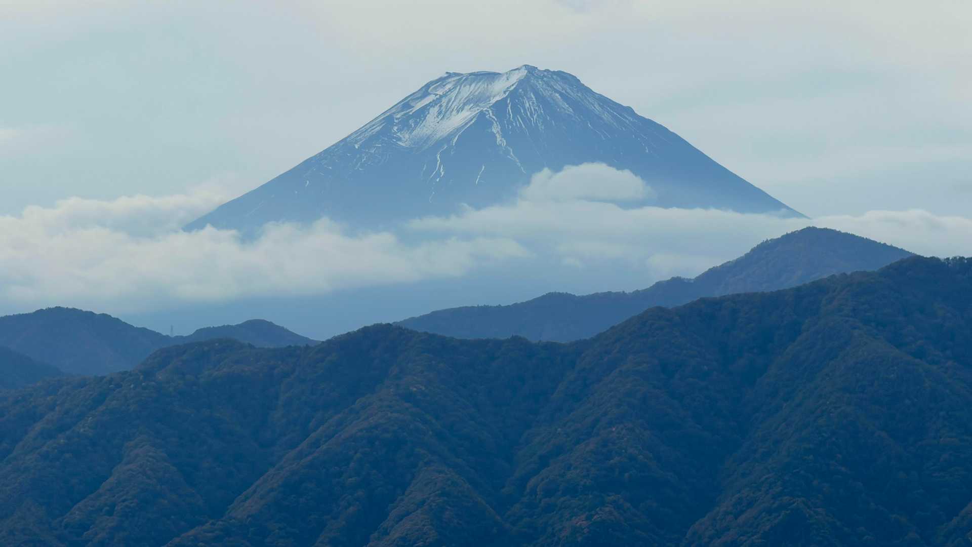 シマホでもこれだけ綺麗に撮れるんですね😱