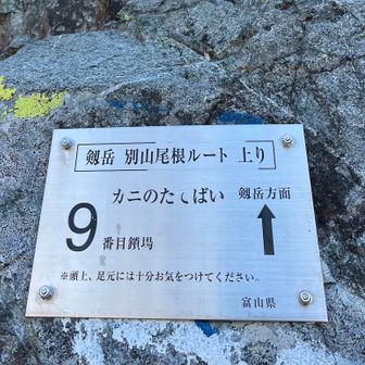 カニのたてばい　危険度9