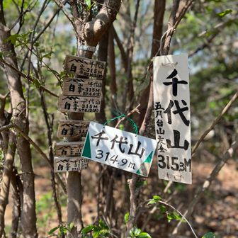 ピーク踏んどく