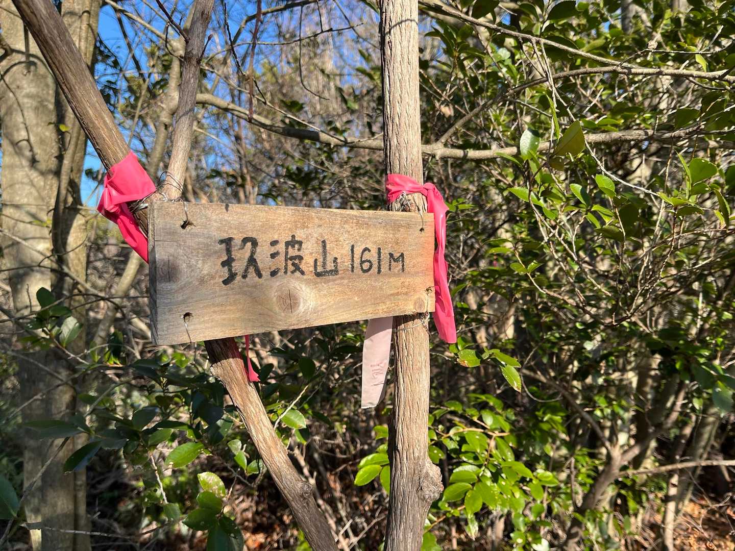 本日の一座目　玖波山　標高161m