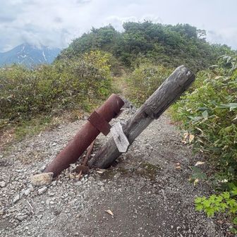 私は、、これを見るために…