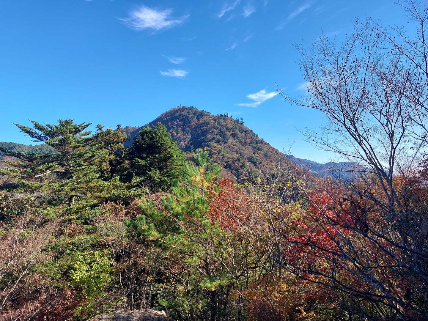 一ノ岳-大竿峠-犬ヶ岳 往復コースの写真