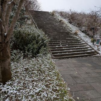 最初はこの程度